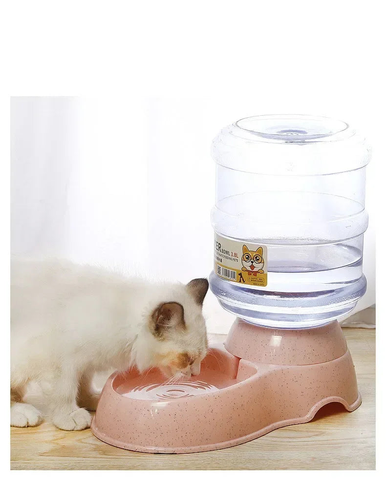 Dog Automatic Feeders