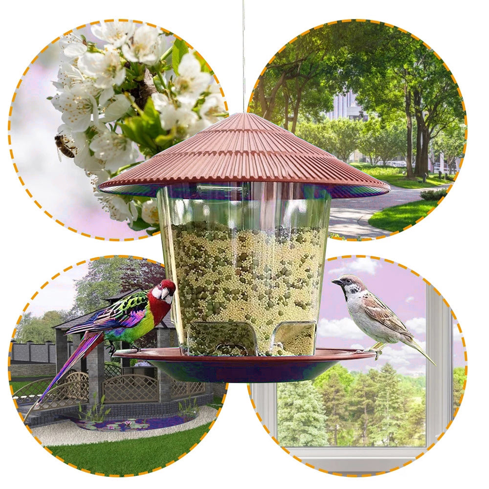 Bird Feeder Automatic Foot Feeding