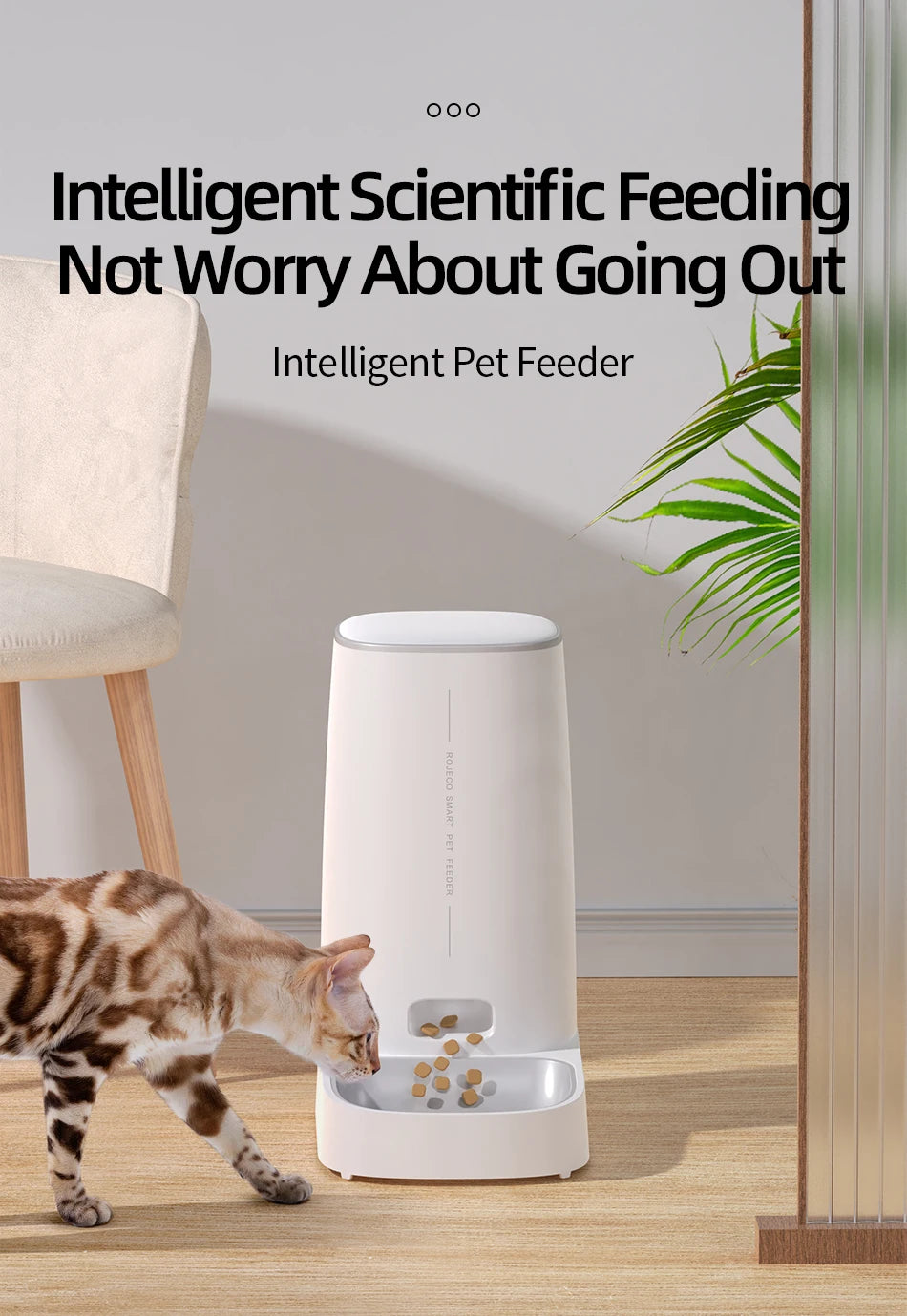 Pet Smart WiFi Auto Feeder For Cat Dog Dry Food A