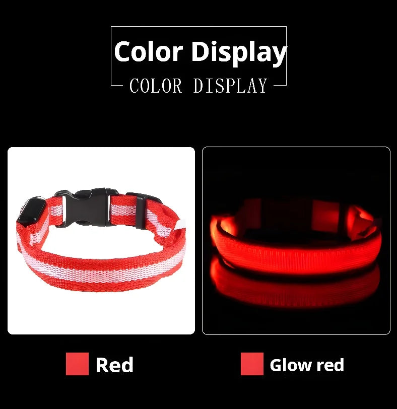 Dog Collar Nylon LED Night Safety Flashing