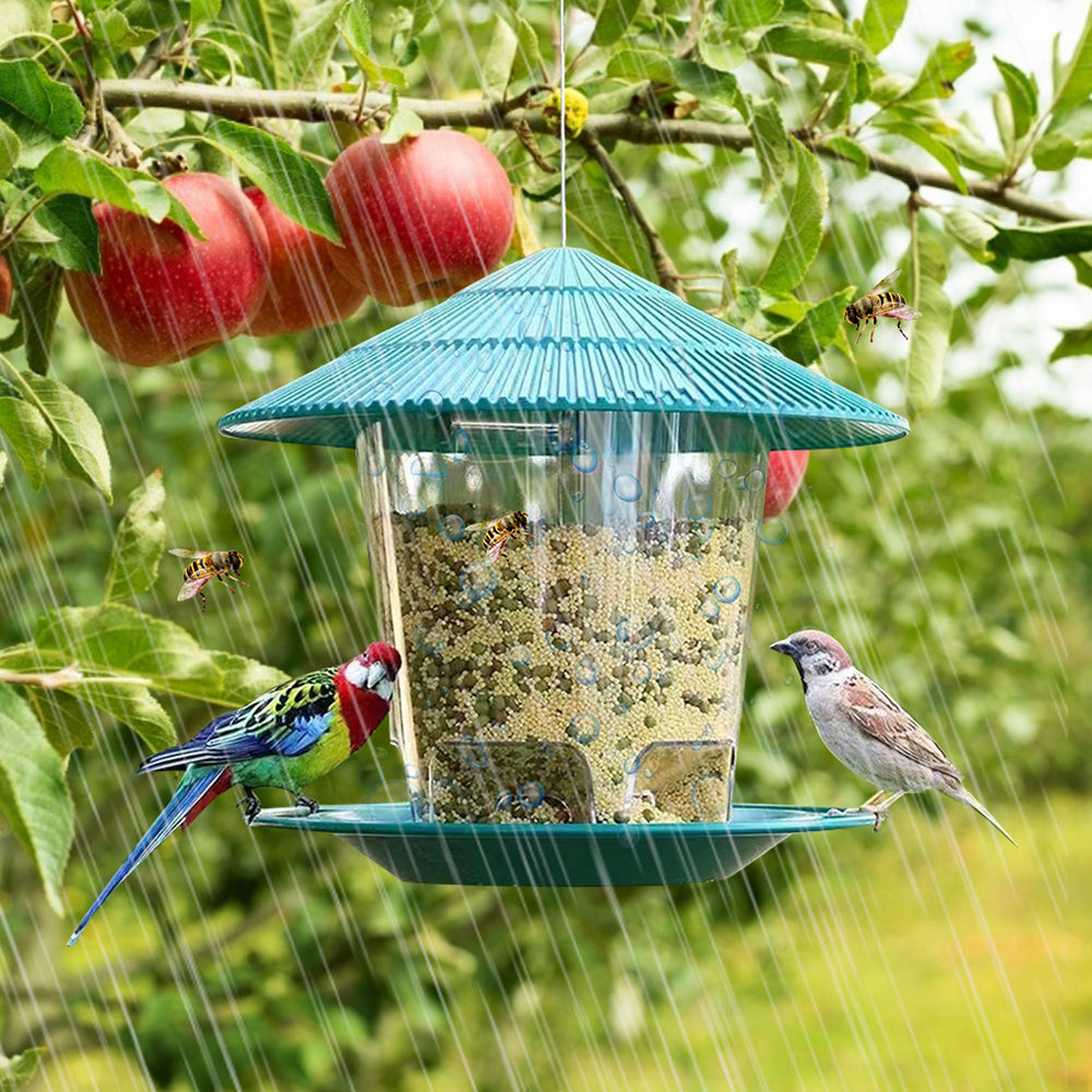 Bird Feeder Automatic Foot Feeding