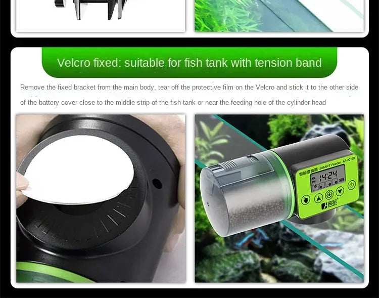 Automatic Fish Tank Feeder