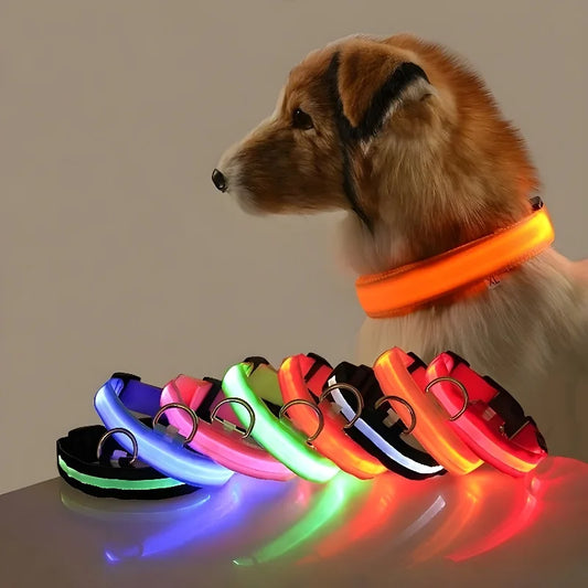 Dog Collar Nylon LED Night Safety Flashing